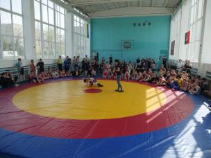 На відкритому Чемпіонаті міста з вільної боротьби юні криворізькі борці та борчині здобули 80 золотих, срібних та бронзових медалей