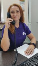 «Гаряча» лінія Центру «Віза»: з чим звертаються під час воєнного стану