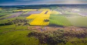Обмеження на використання земельних ділянок об'єктів благоустрою