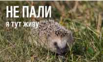 Не пали суху рослинність!