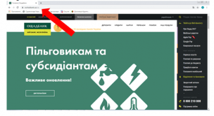 Електронні сервіси: інформація про перерахування безготівкових пільг та субсидій ОНЛАЙН