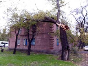 Юрій Вілкул поставив завдання надати допомогу жителям Інгулецького району, які постраждали від шквального вітру
